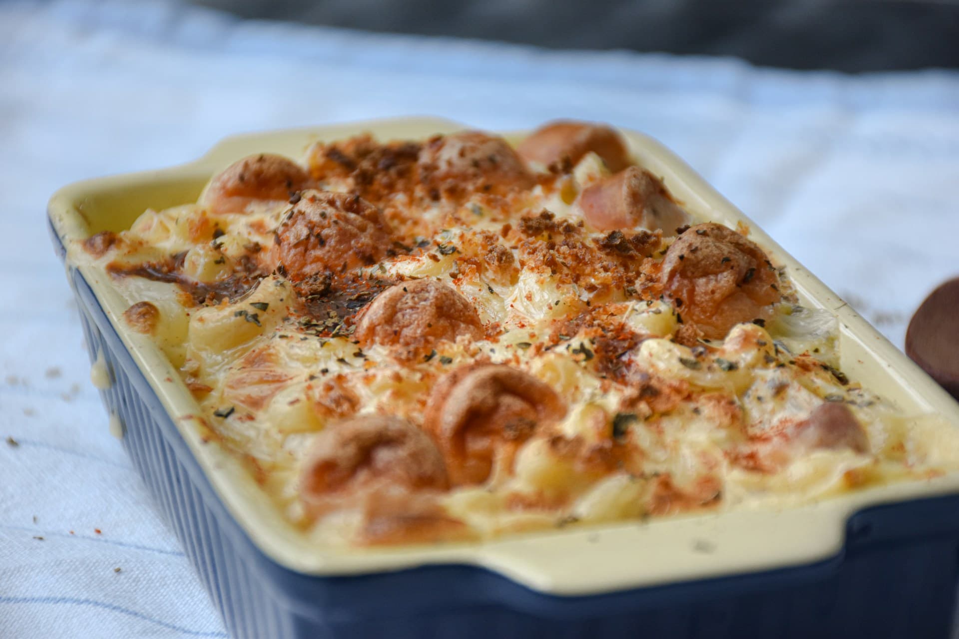 Lasagna
